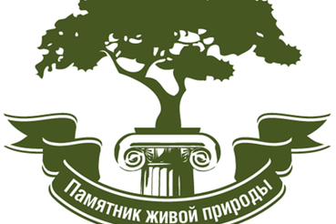 Всероссийская программа «Деревья – памятники живой Природы»